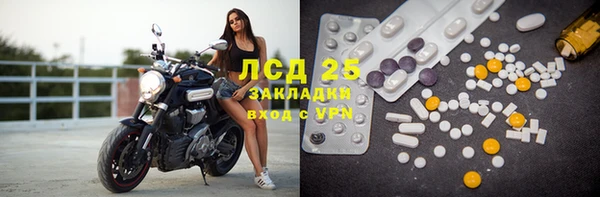 ECSTASY Новодвинск