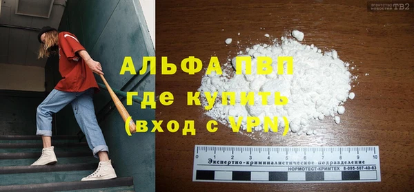 ECSTASY Новодвинск