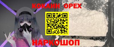 крисы Дубна