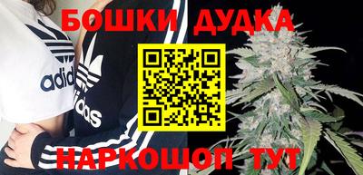 крисы Дубна