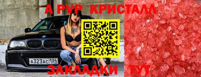 крисы Дубна