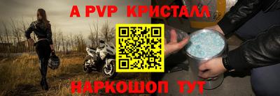 ECSTASY Камышлов