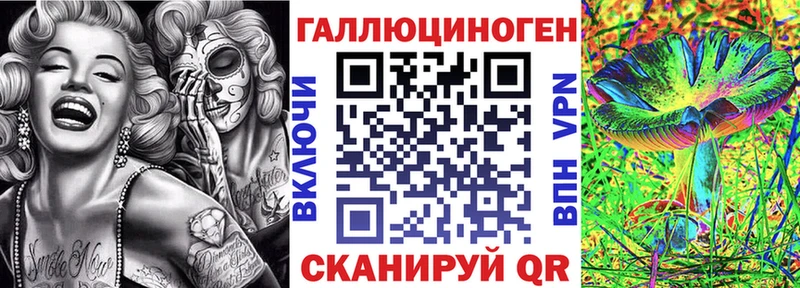 МЕГА ТОР где найти Нижнеудинск Галлюциногенные грибы MAGIC MUSHROOMS