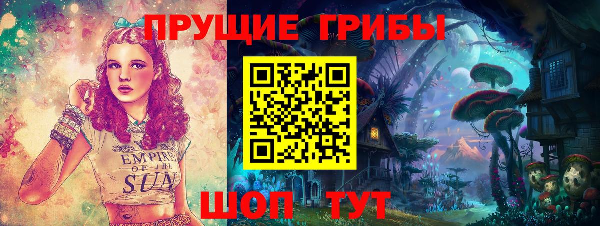 Нижнеудинск  Галлюциногенные грибы прущие грибы  Вход с VPN 